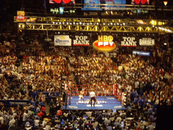 MSG Boxing